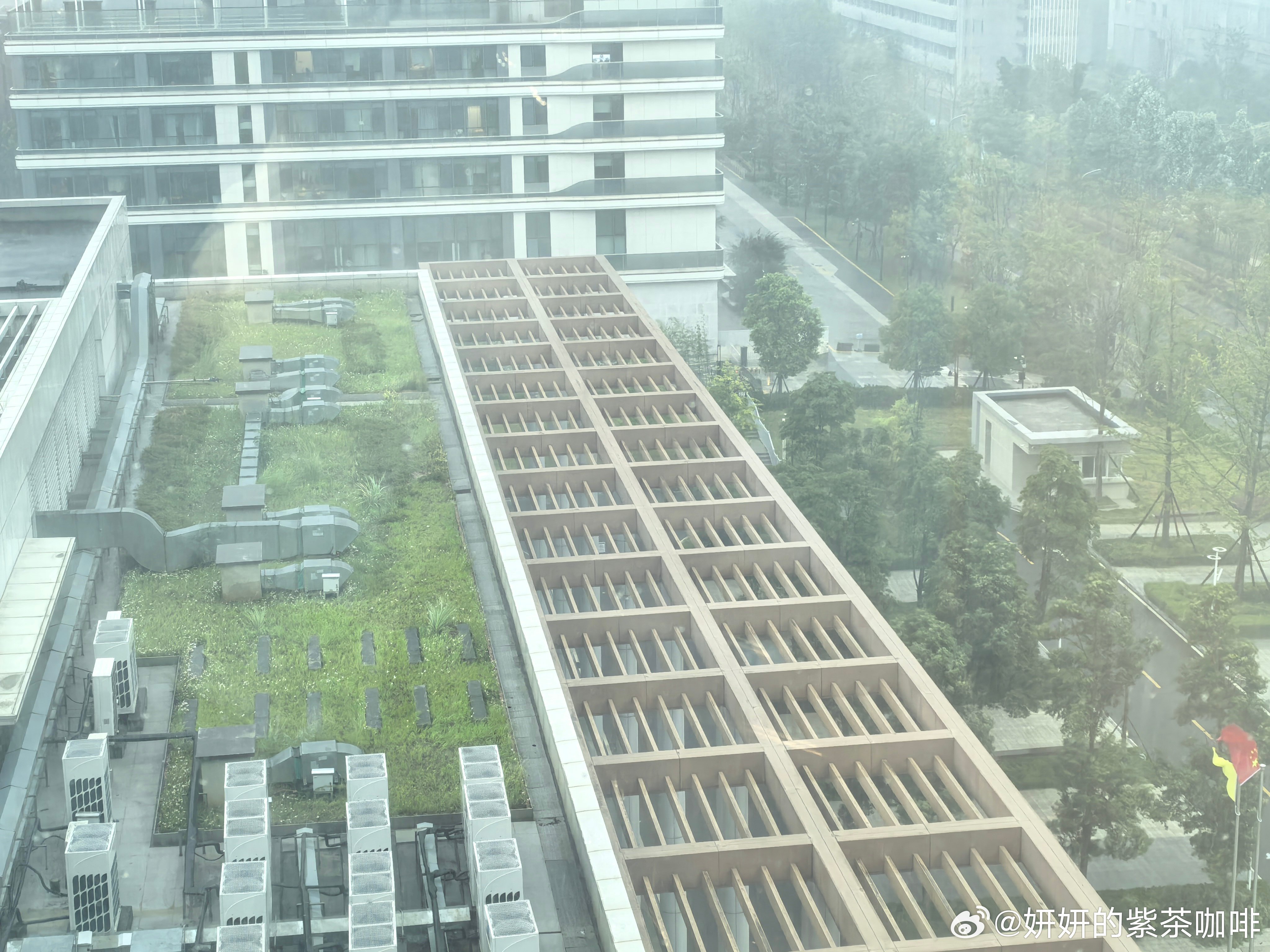 暴雨来了吗？ 