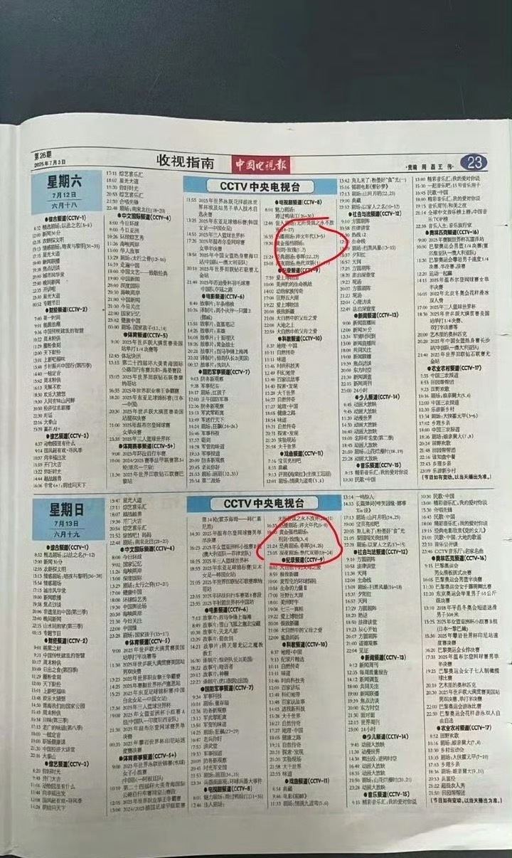终于轮到我追剧了吗！！利剑玫瑰 利剑玫瑰央八定档 ​​​