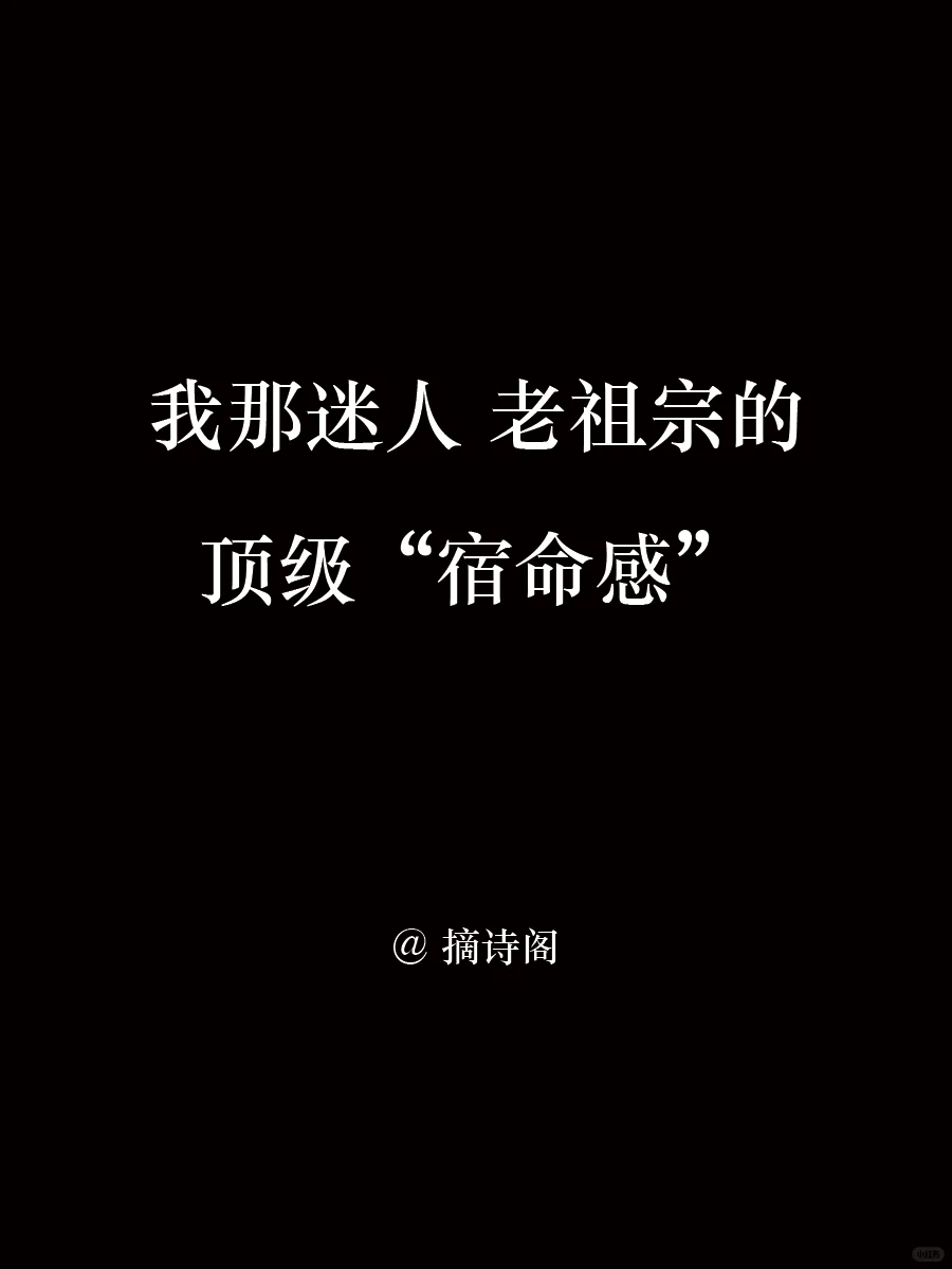 我那迷人老祖宗的顶级宿命感