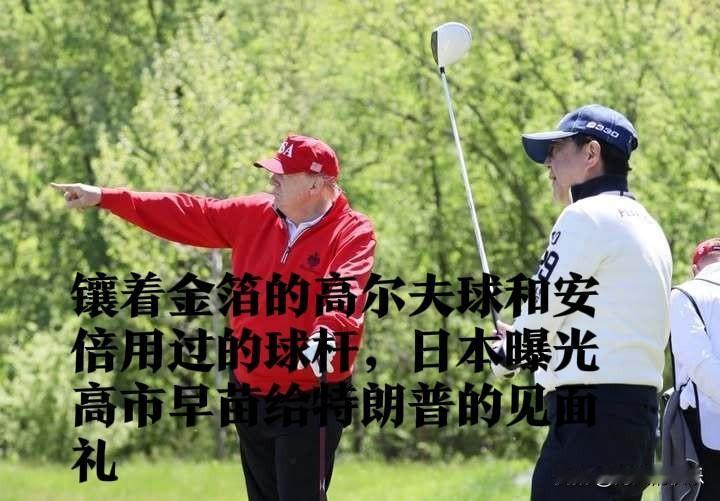 镶着金箔的高尔夫球和安倍用过的球杆，日本曝光高市早苗给特朗普的见面礼

   外