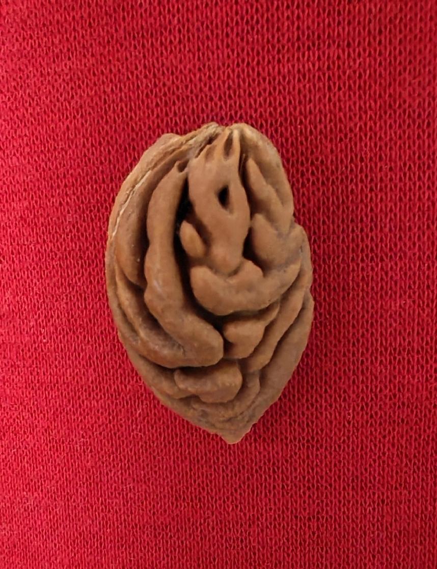 一个笑脸！
虽然这个桃核很小很小，但是不影响它露了一小脸。
路过的朋友们能看出来