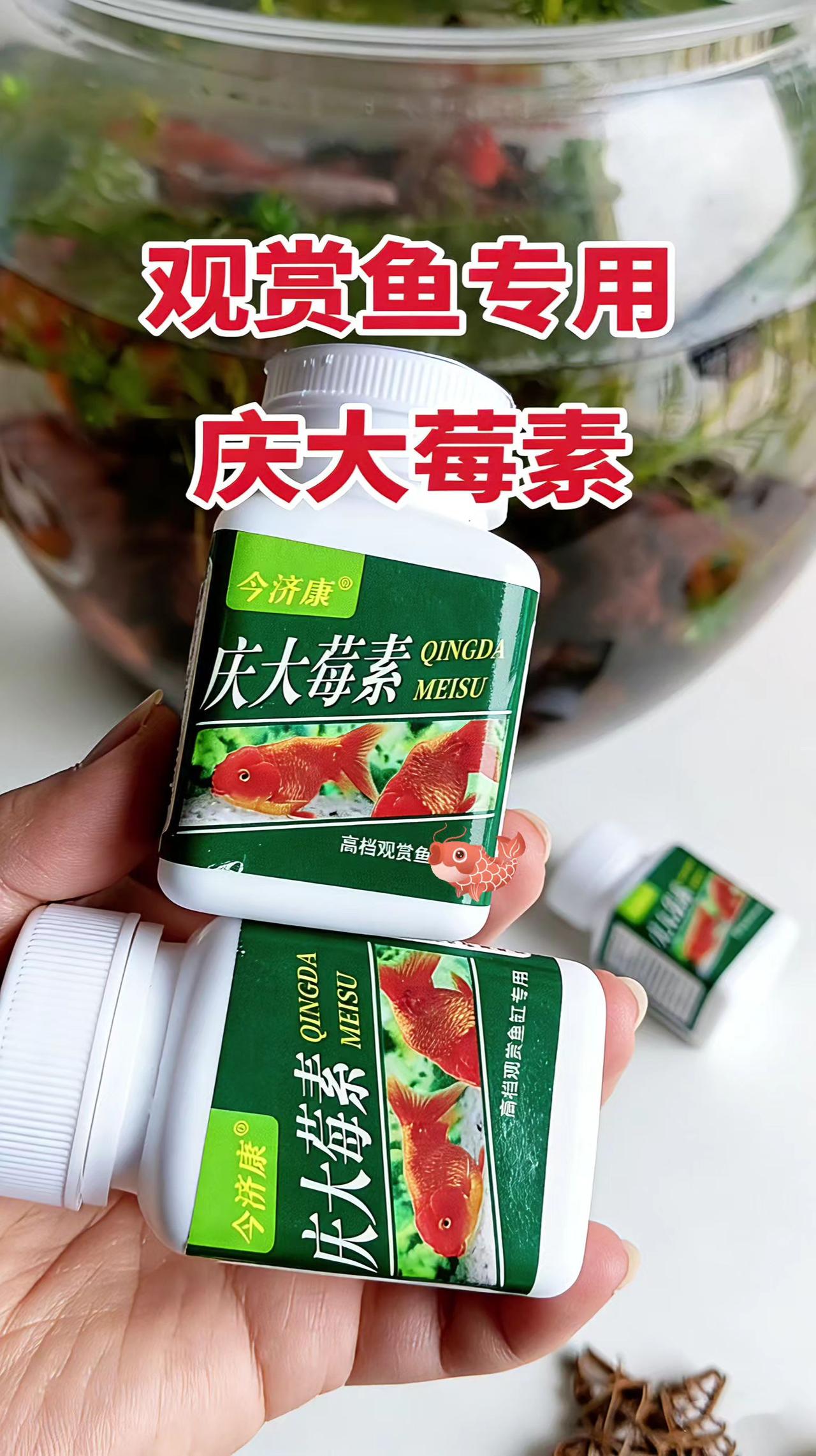 庆大霉素 养鱼日记 观赏鱼 观赏鱼交叉感染 新手养鱼