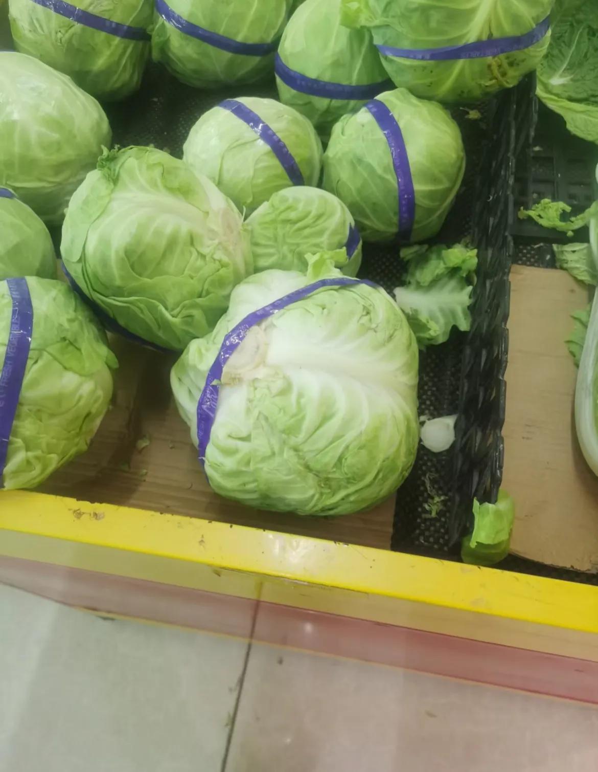 千万不要买！！！！！
独自用餐时，切勿冲动购入整颗硕大圆白菜，
否则，它将成为你