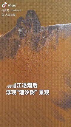 “太震撼了！”近日，杭州钱塘江退潮后的滩涂上，突然出现了巨型潮汐树景观。无人机拍