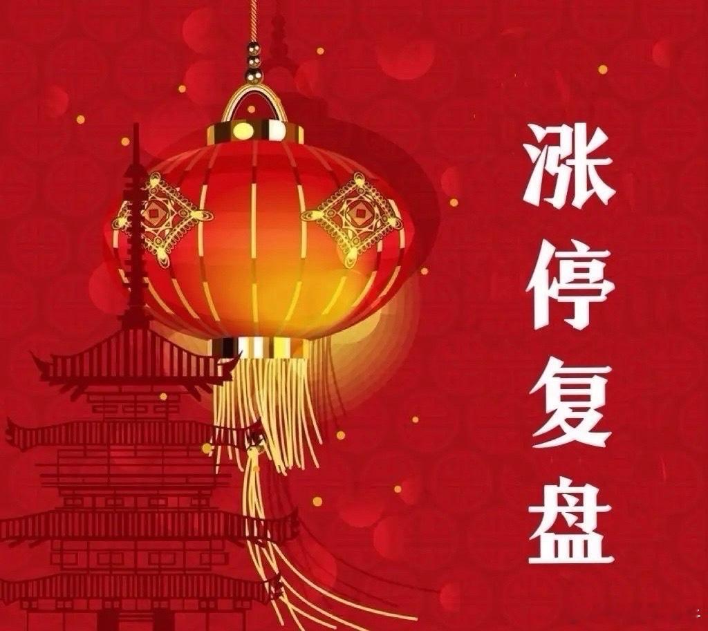 11月24日涨停复盘人工智能002264新华都----2板------数字营销+