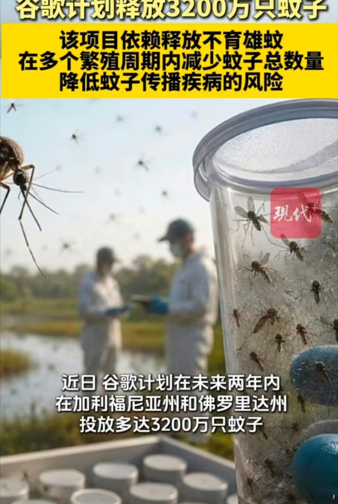 谷歌计划投放3200万只蚊子谷歌拟投放3200万只绝育雄蚊，靠以蚊治蚊削减虫群、