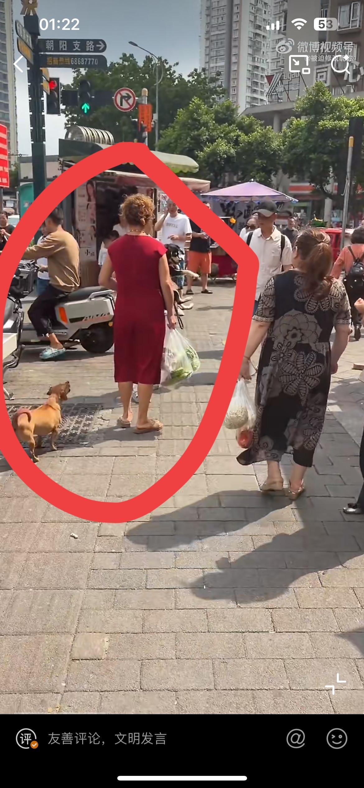 重庆街头，红裙老太的小狗不牵绳，自不量力去挑逗白裤子小仙女的大狗，被女子的狗反咬