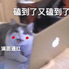 刘浩存给窦骁定下八不准救命！谁懂这种热烈又坦荡的偏爱啊！不管拒绝多少次都笑着接招