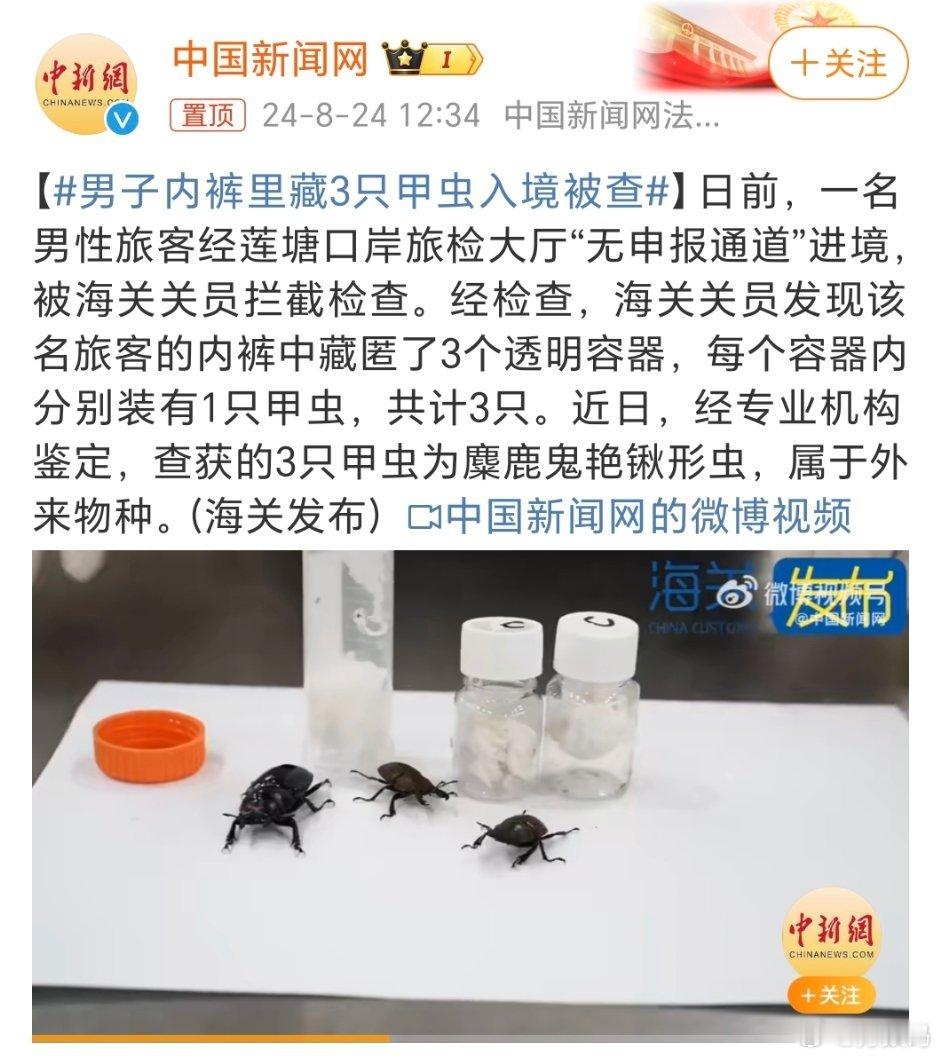 #男子内裤里藏3只甲虫入境被查#我一直想不通，为啥总是有人会带外来物种来国内，是