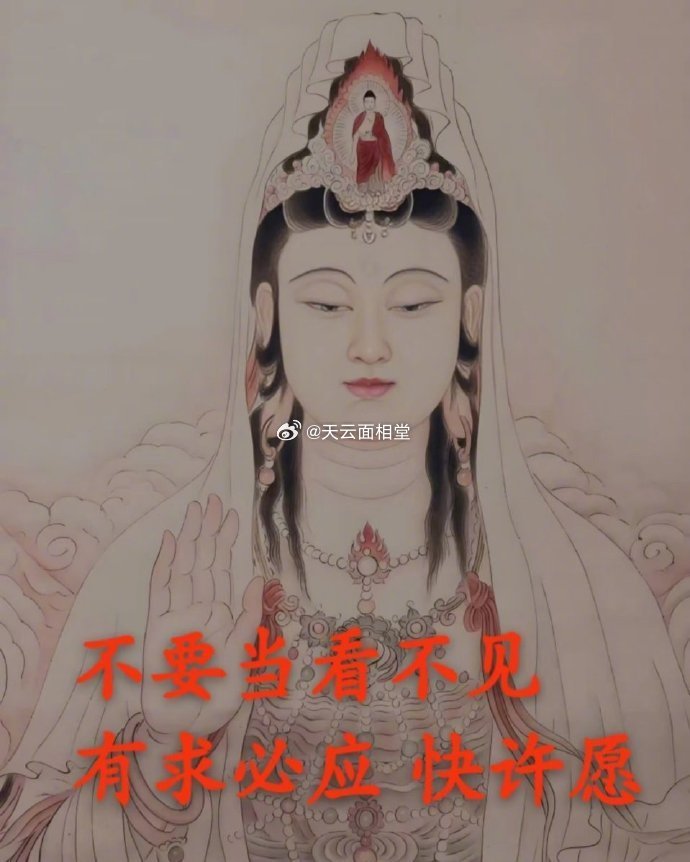 不要当看不见，有求必应，快许愿 