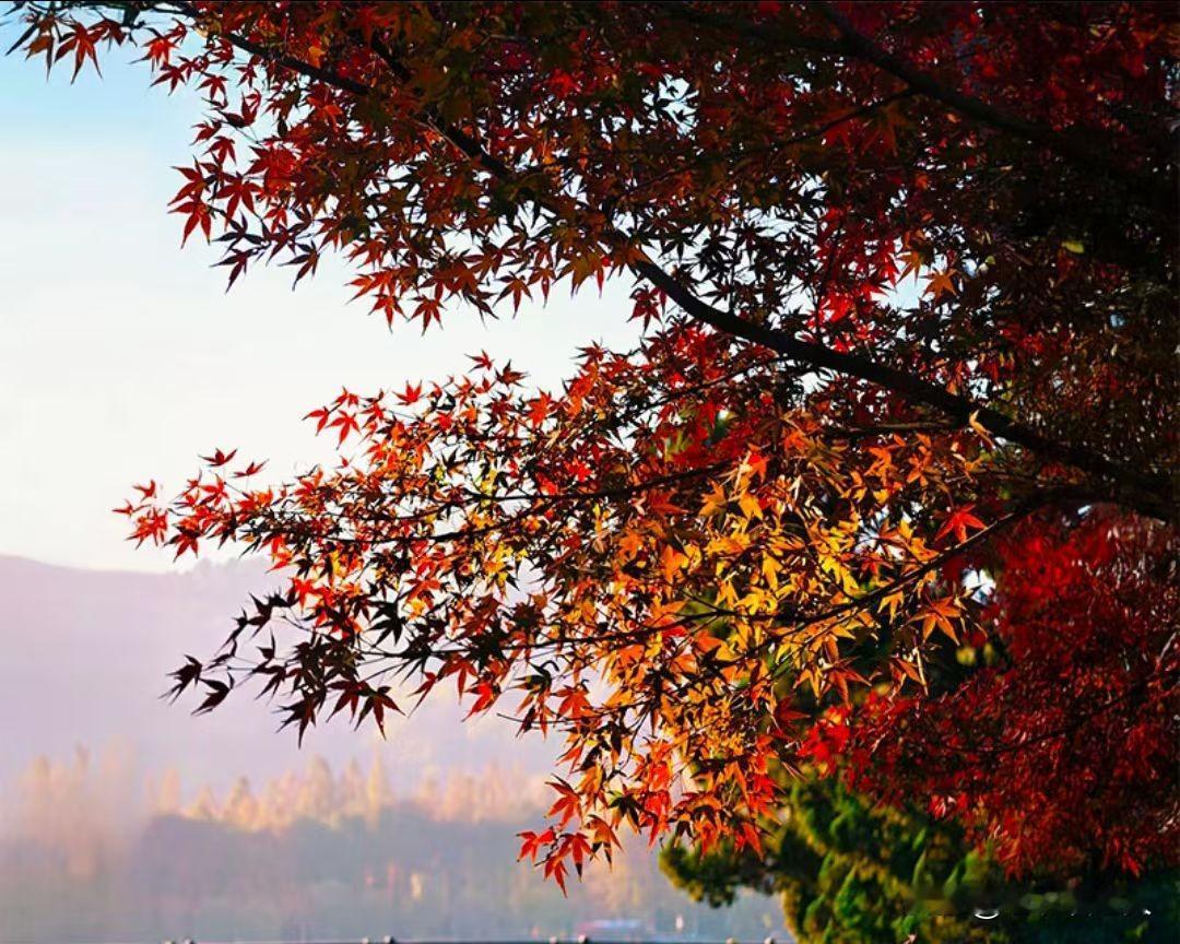 鼻病毒无特效药和疫苗，提醒大家预防感冒！
寒冬季节，天气寒冷，容易出现流鼻涕，打