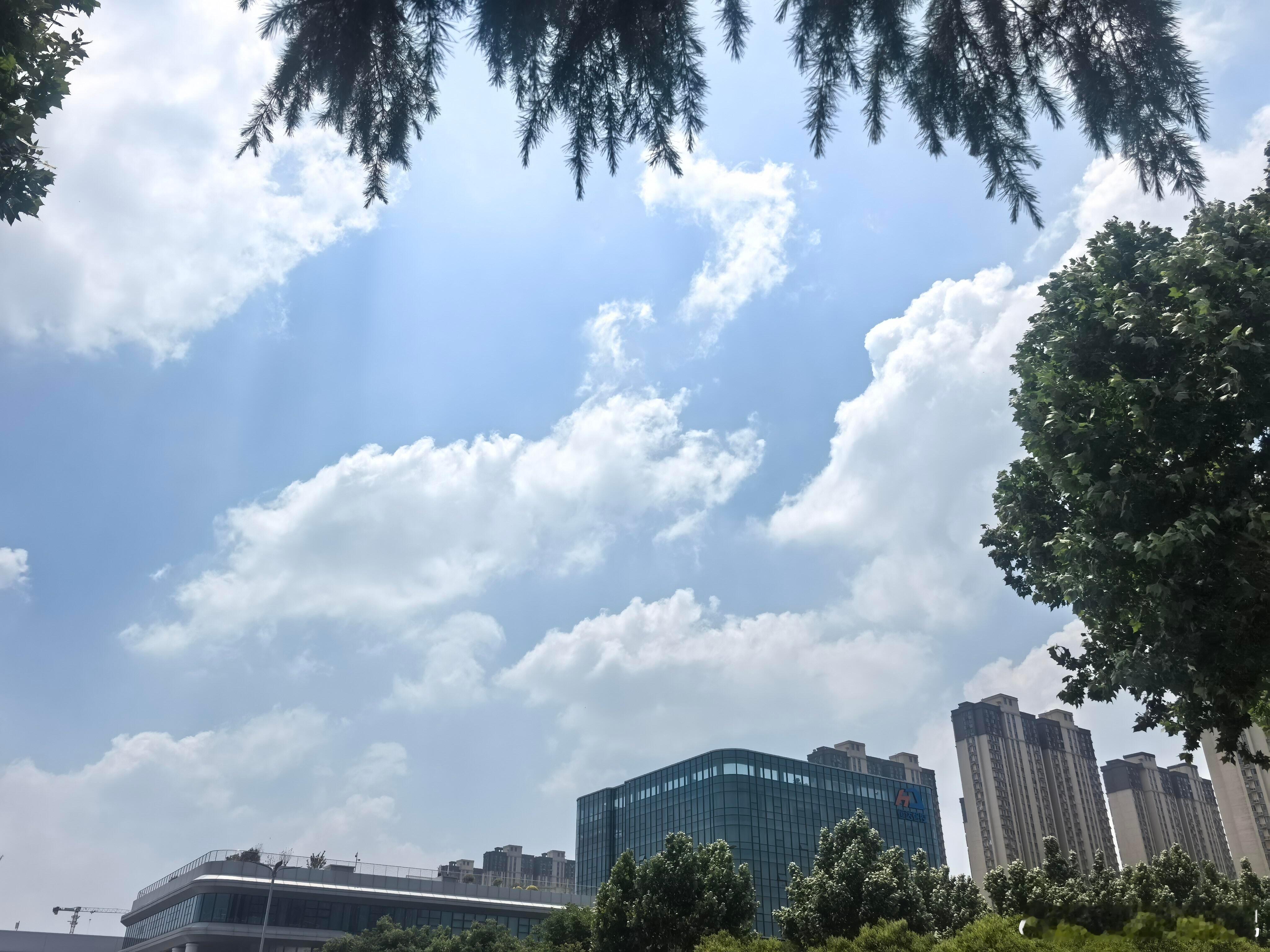 真诚、正直、洞察力、分辨力、阅历、勇敢的心、情绪的稳定、眼神的忧郁、心底的慈悲知