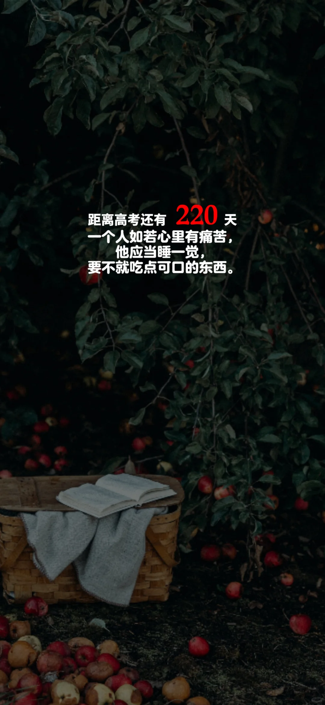 2025高考倒计时，每日更新。