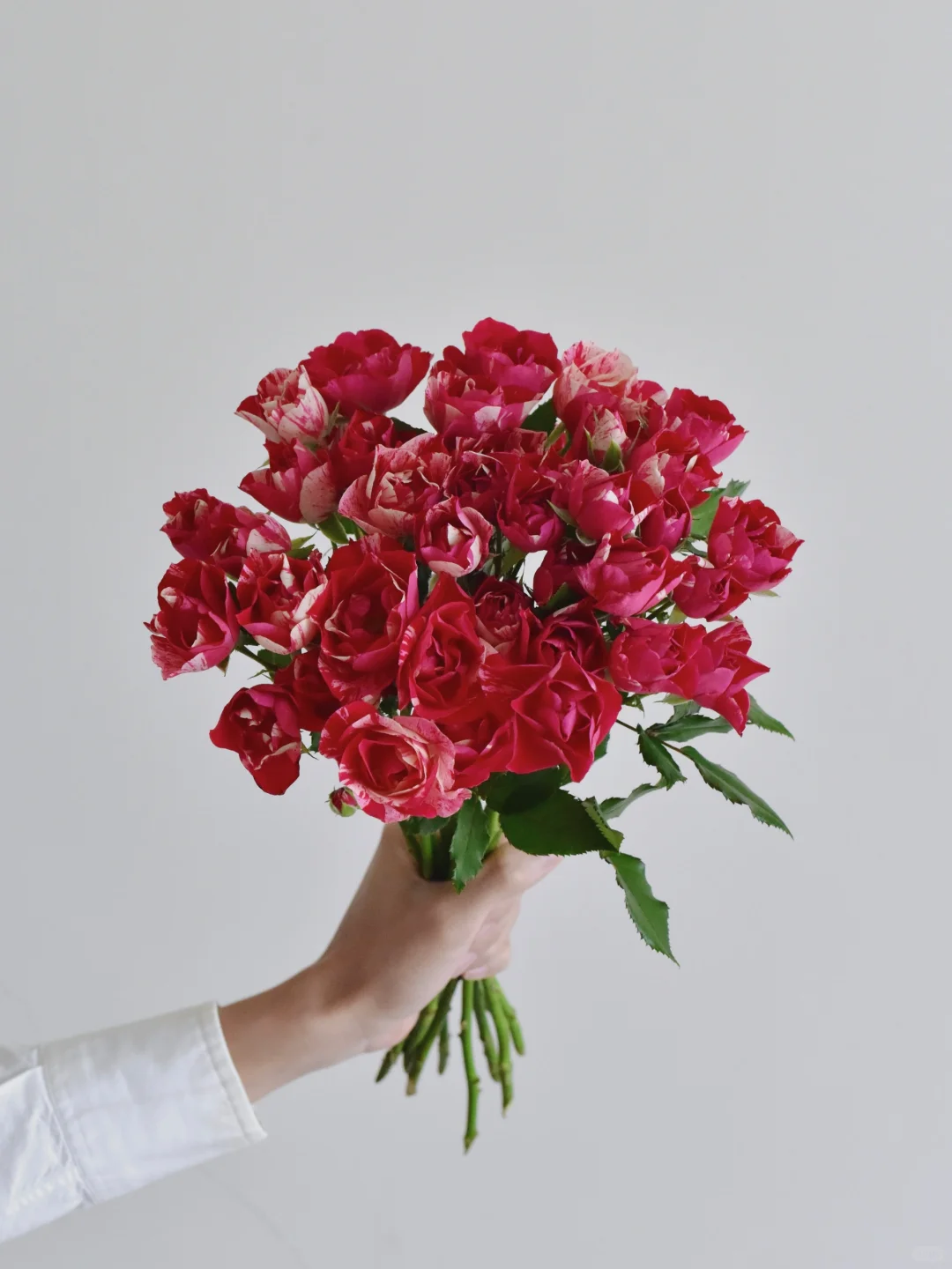 玫瑰·草莓牛奶