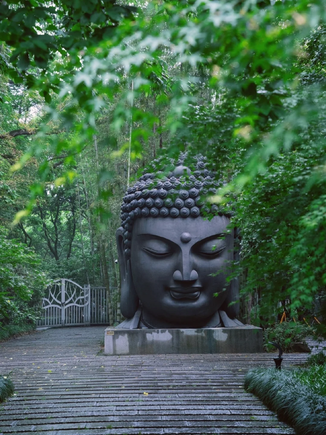 人生建议：拍完这9⃣️个宝藏机位再离开杭州‼️