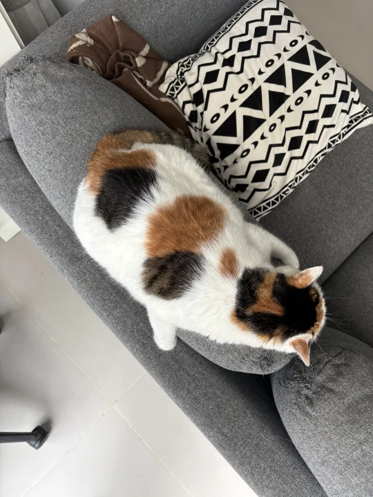 孩子一直在家啃老怎么办？