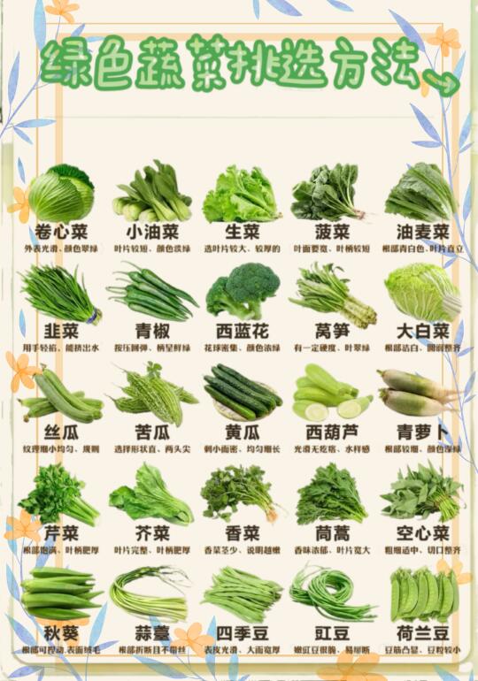 🔥常见绿色蔬菜挑选方法❗学会挑菜不踩坑 [暗中观察R]有没有宝子一进...