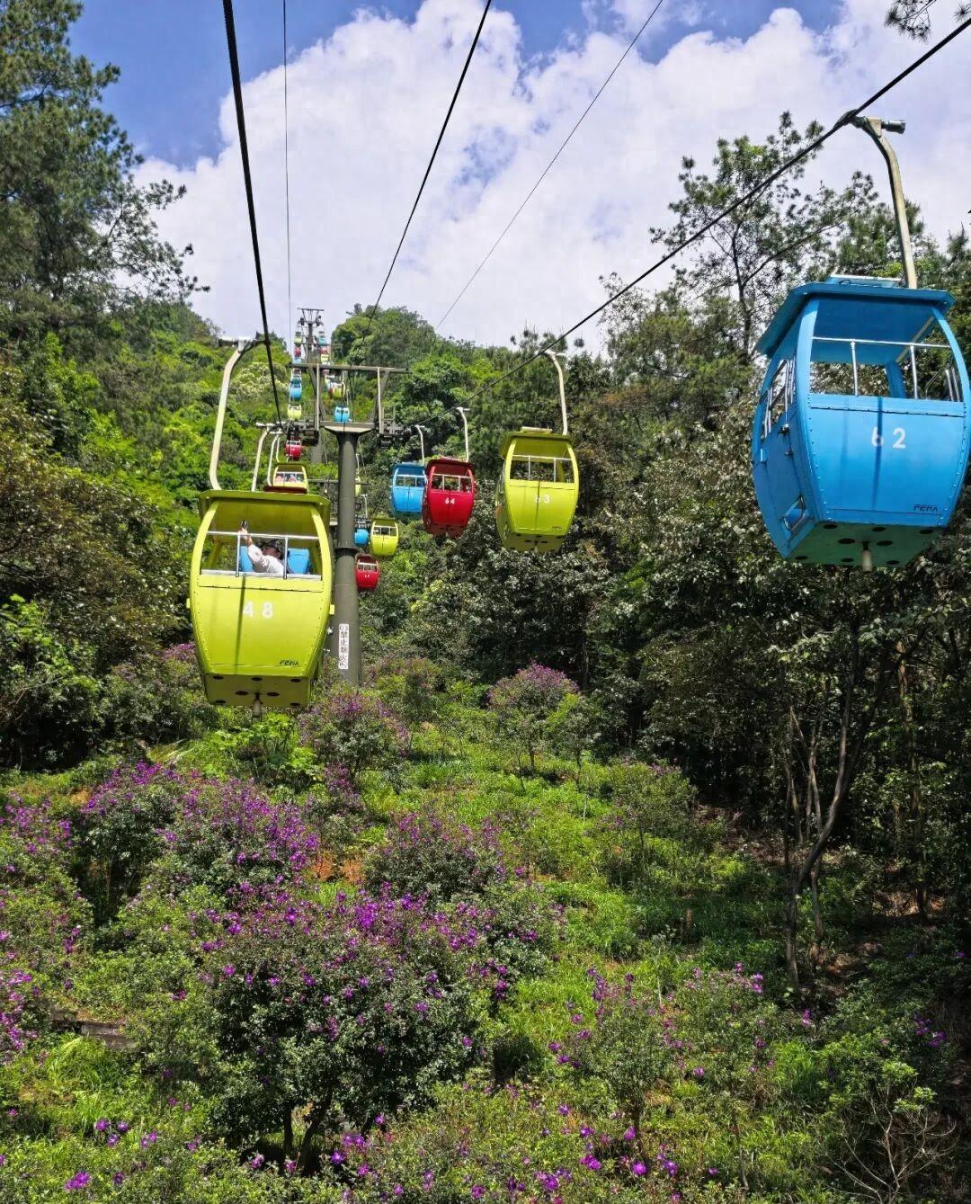 周末开着车带老婆孩子跑了趟韶关，本以为是陪我看场球，结果老婆说：“下次还得这么玩