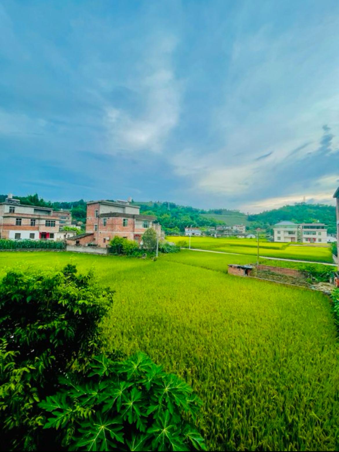 人到中年，褪去年少锐气，慢慢学会和生活和解，与自己释怀。年轻时总以为努力就能万事