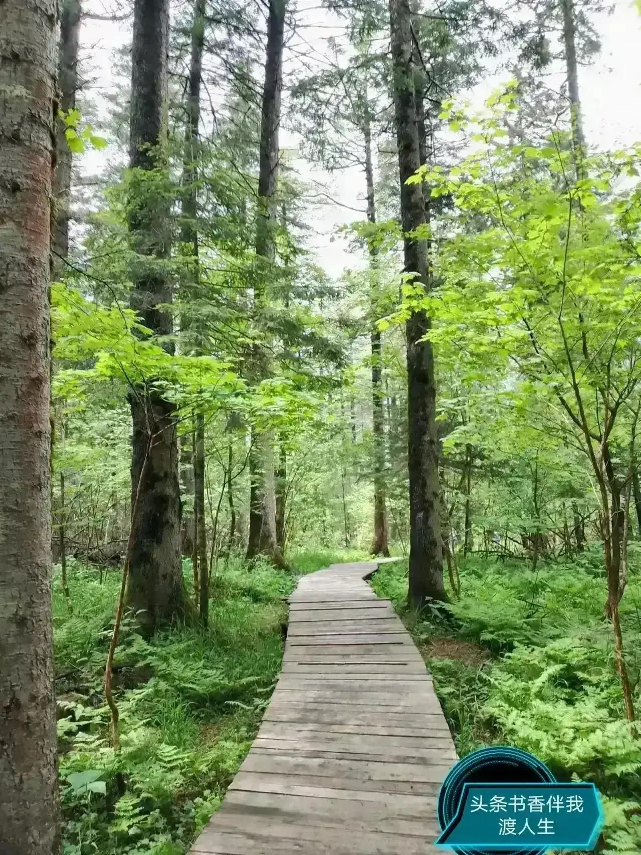 《话说旅游》

世界这么大
都想出去走走
有闲有钱
一定选择自己喜欢的
自然风光