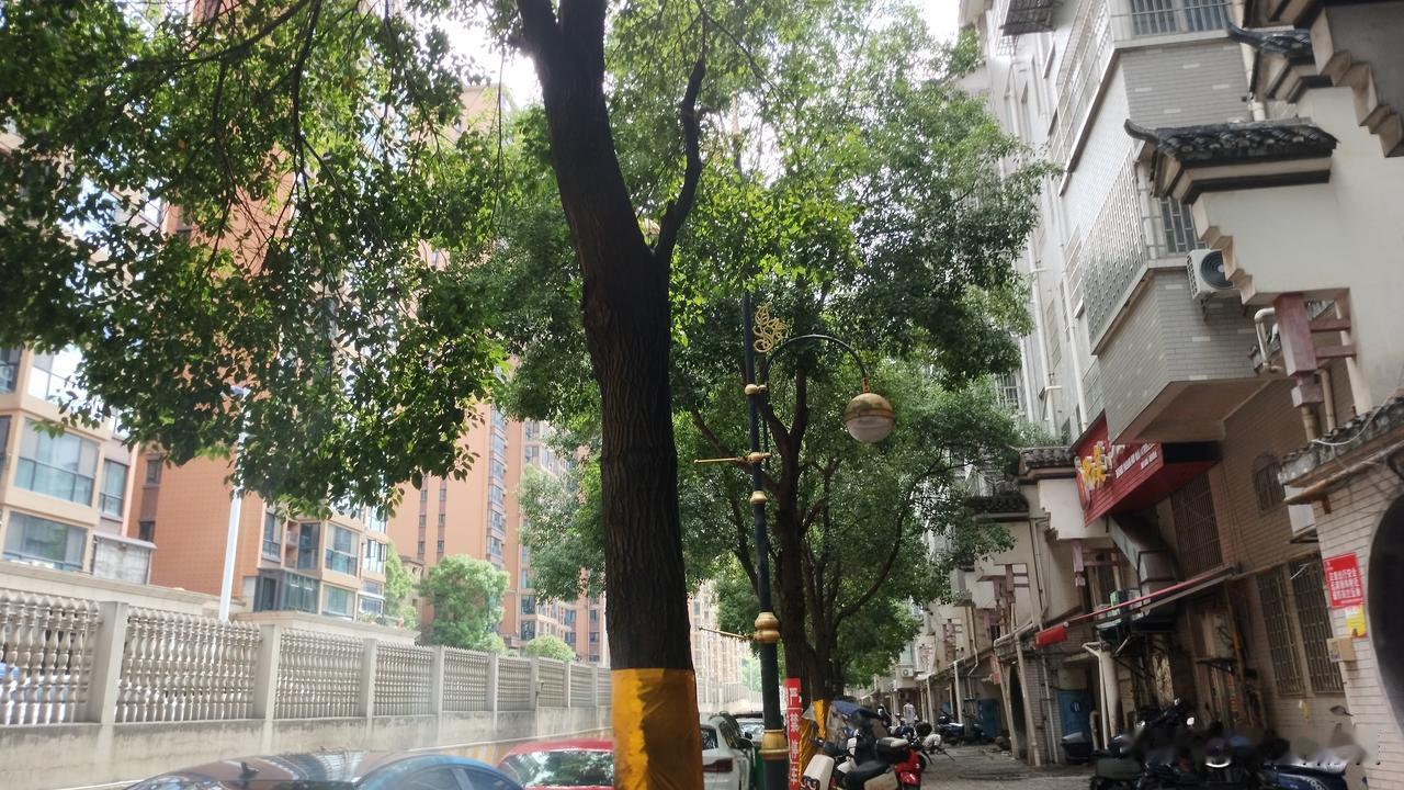 刚刚刷到一条视频，儿媳妇背着瘫痪公公去赶集，众人却是各种闲言碎语，说什么话的都有