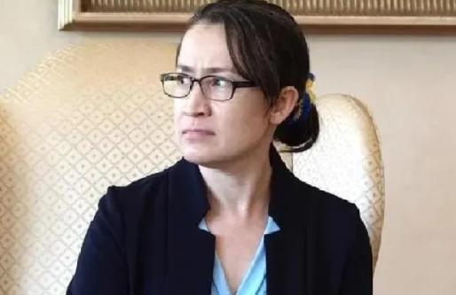 1月7日，台独顽固分子台湾地区副领导人箫美琴嚣张地说，“大陆今天再次打压内政部刘