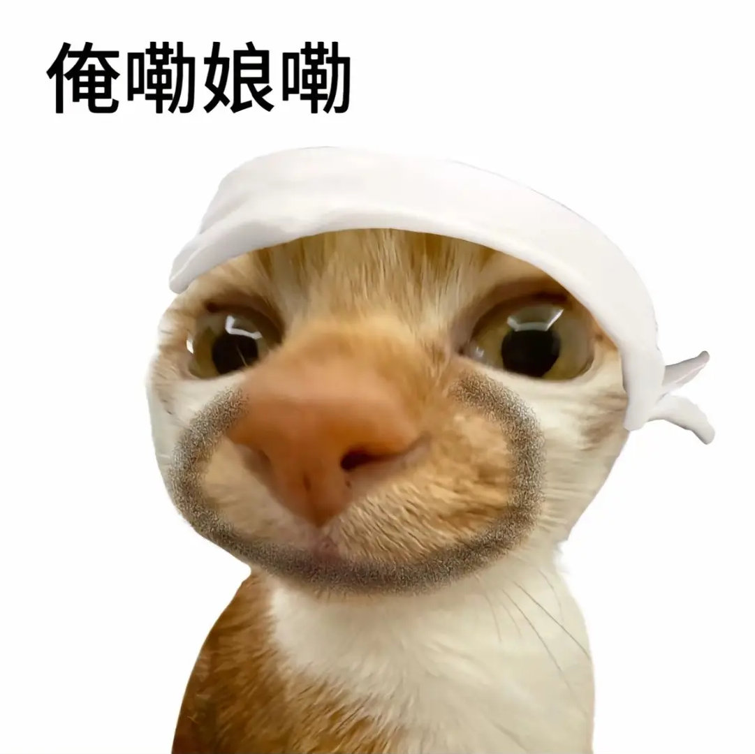 表情包  河南人专属猫咪表情包来啦！每只猫都带着地道方言吐槽，“白蒙我”“咋整啊