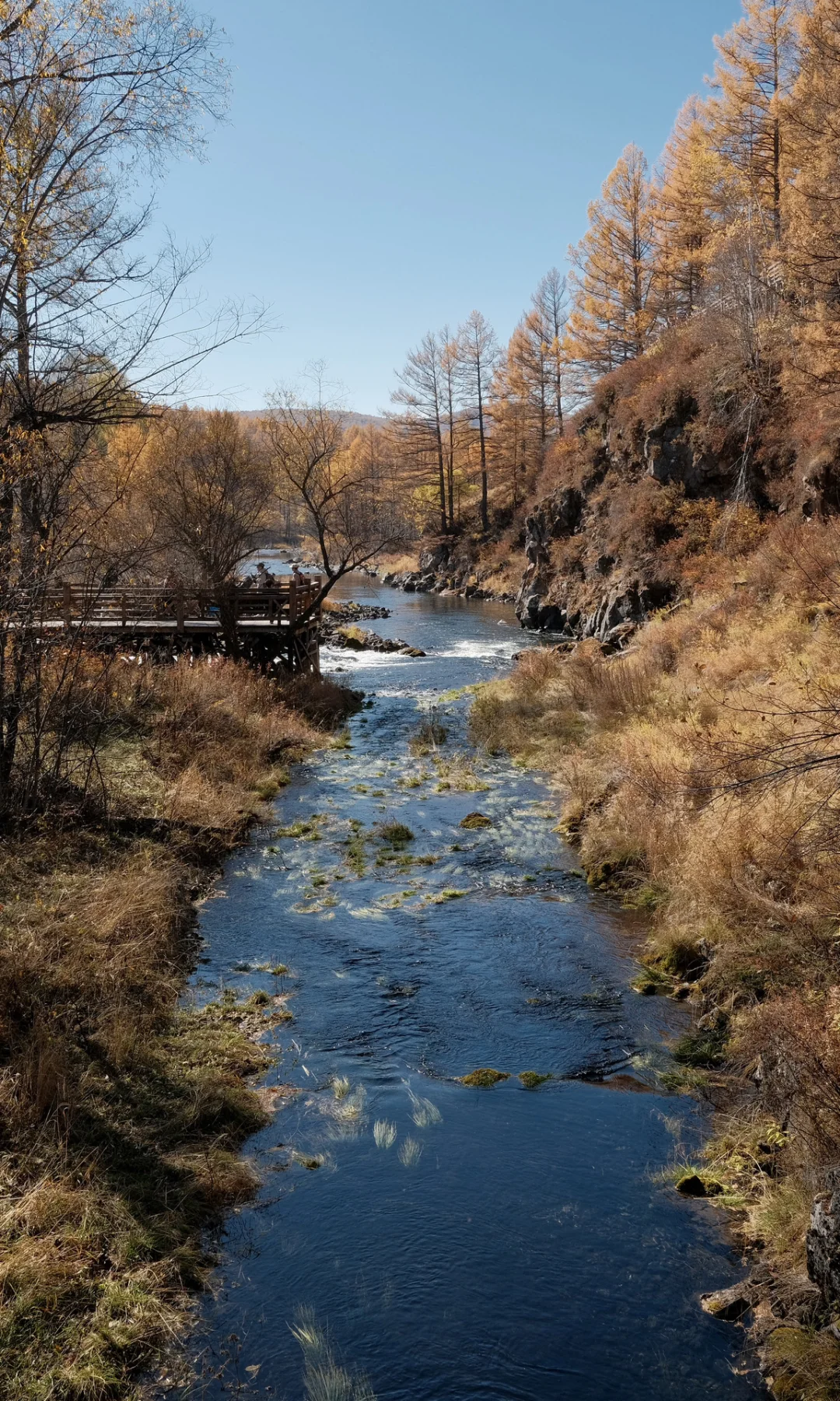 Fuji film｜在呼伦贝尔追到了人生醉美的秋🍂
