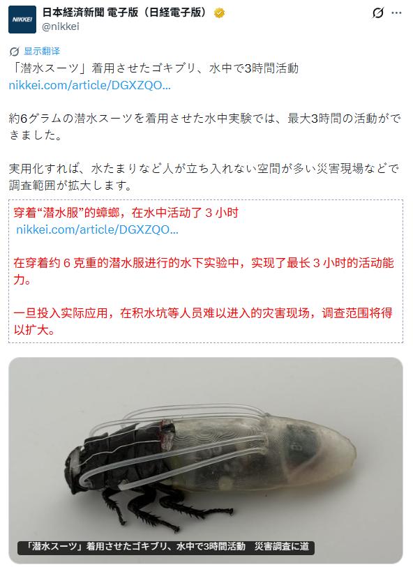 日媒：新加坡南洋理工大学佐藤裕崇教授等人，作为“半机械昆虫”研究的一部分，开发了