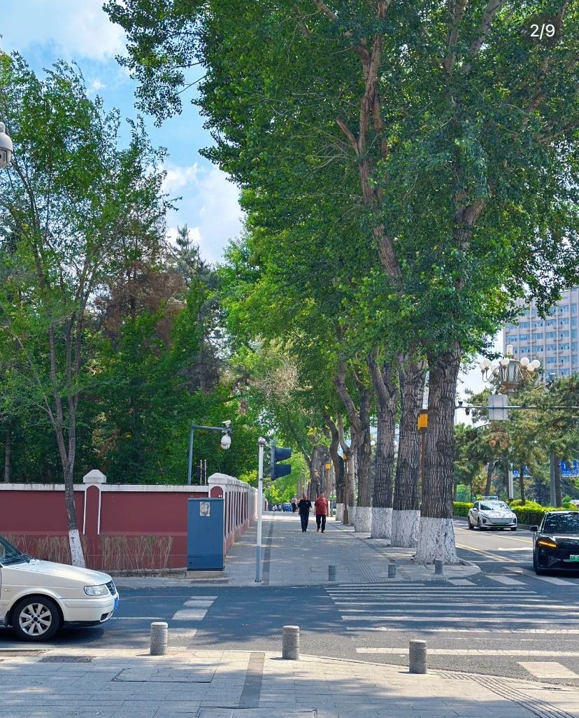 张雪峰给所有姑娘的忠告，真的建议你认真看完，句句戳心！
别为一个人奔赴一座城，要