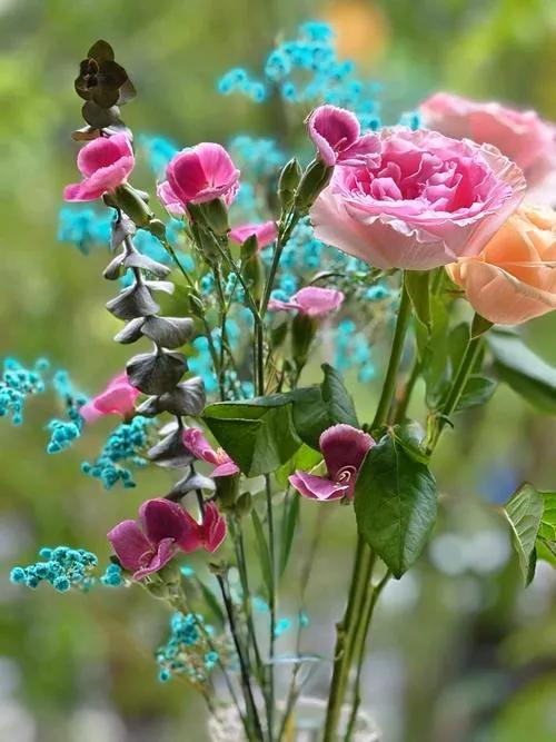 〖糖尿病慢性病〗认定咋就那么难？
二姑患糖尿病7、8年了，想办〖糖尿病慢病〗，去