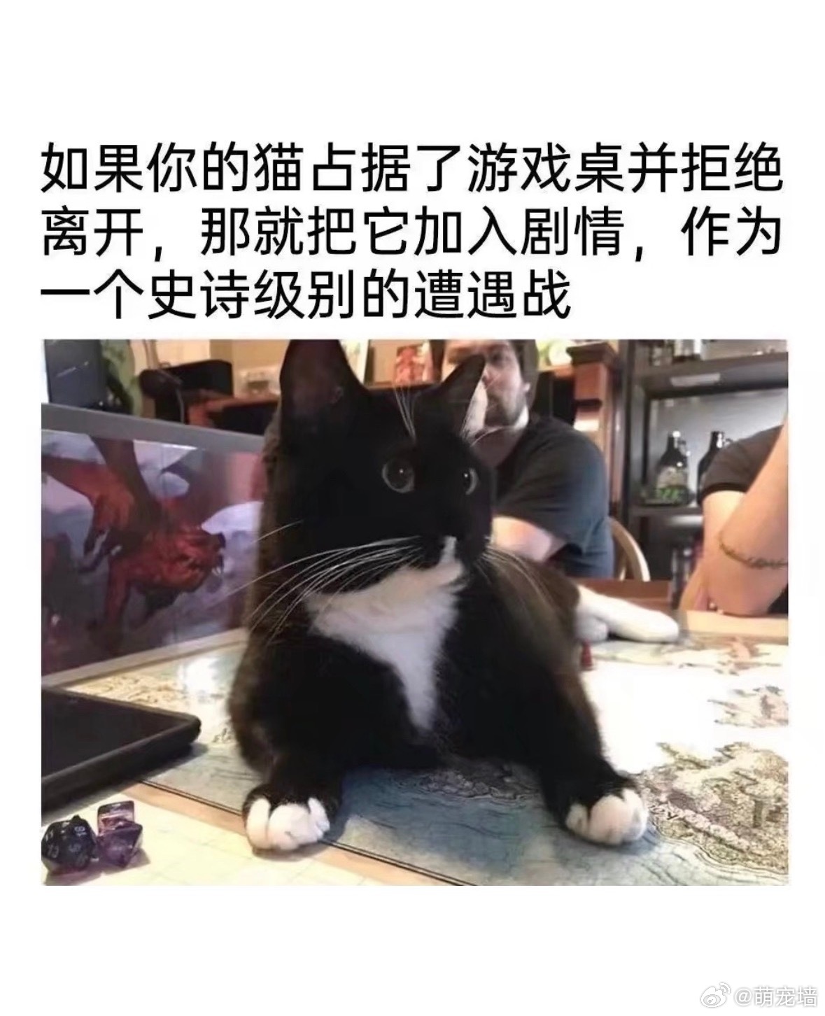 这个好可爱 