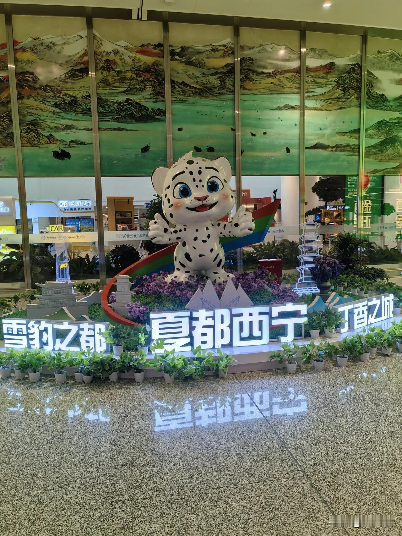 第一次来西宁，竟然发现这里是避暑的天堂，怪不得叫夏都西宁。

这里早晚温差很大，