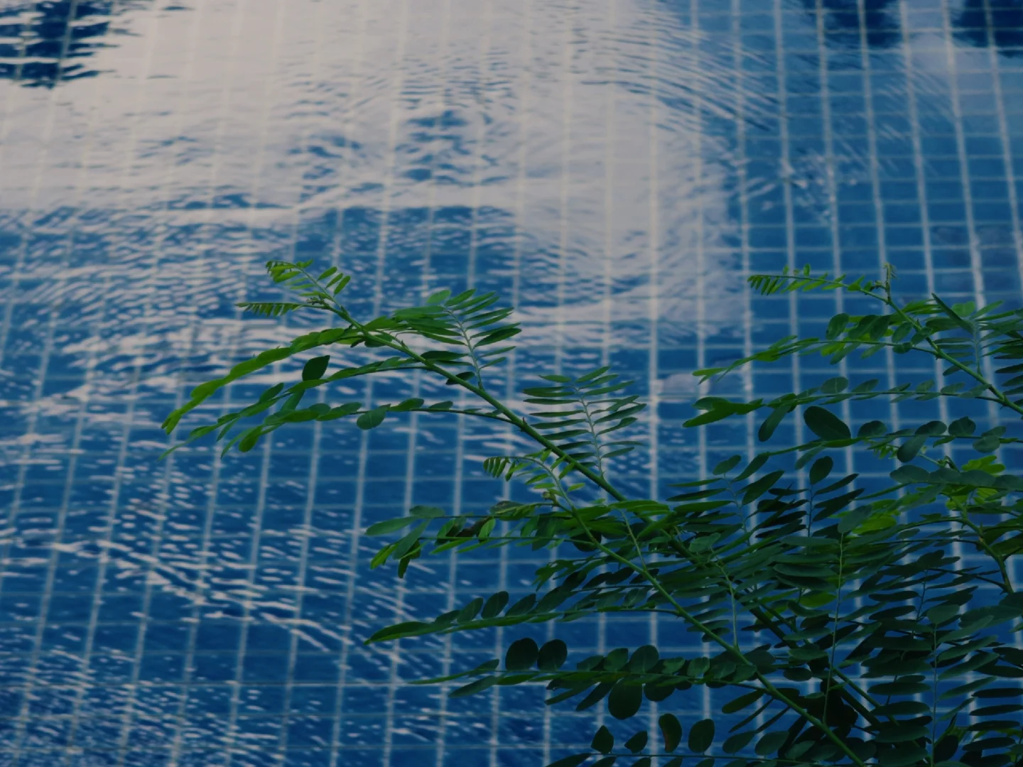 这才是iPhone真正拍照无锐化的秘密