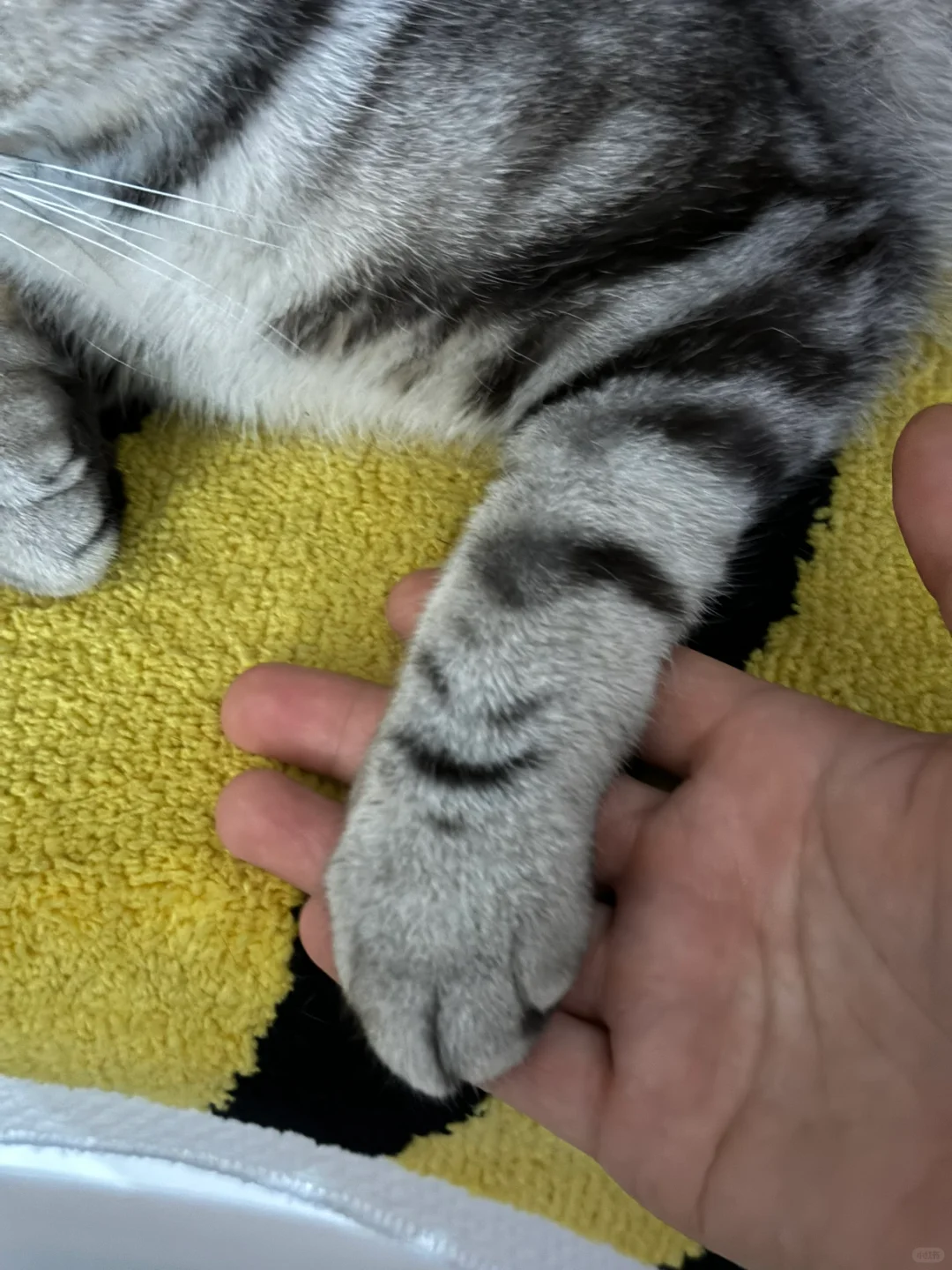 表情包在我手上了😼😾