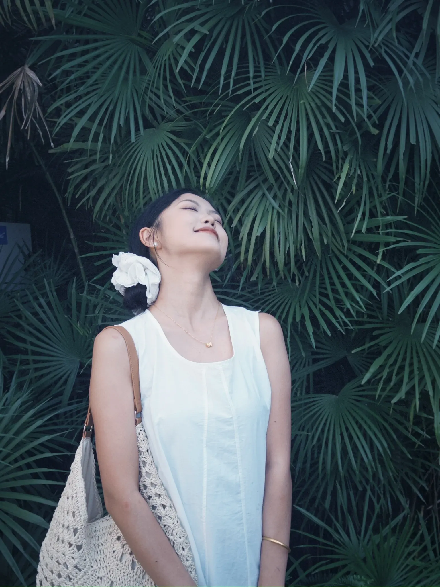 晒到的阳光分你一半☀️。