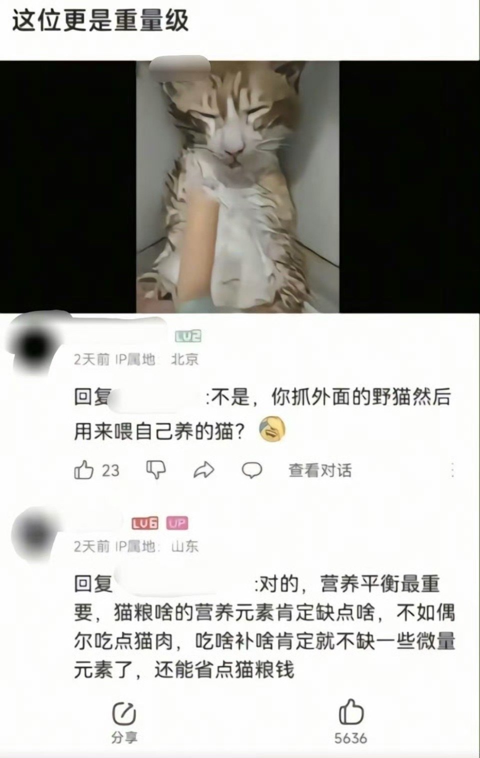 吃啥补啥，吃难补猫[二哈][二哈][二哈] ​​​