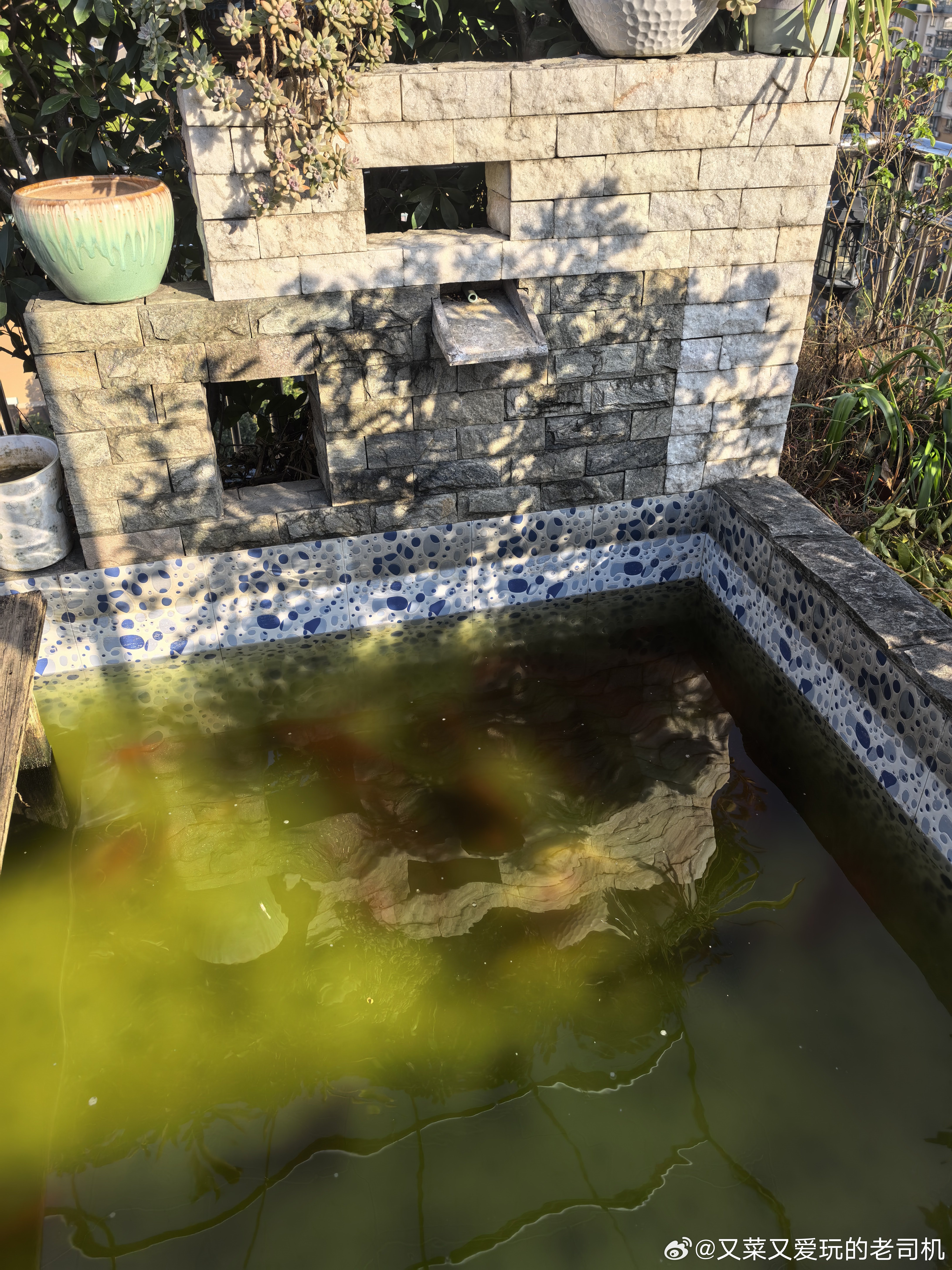 鱼池里好像鱼养太多了，完蛋，水质怎么都搞不定了