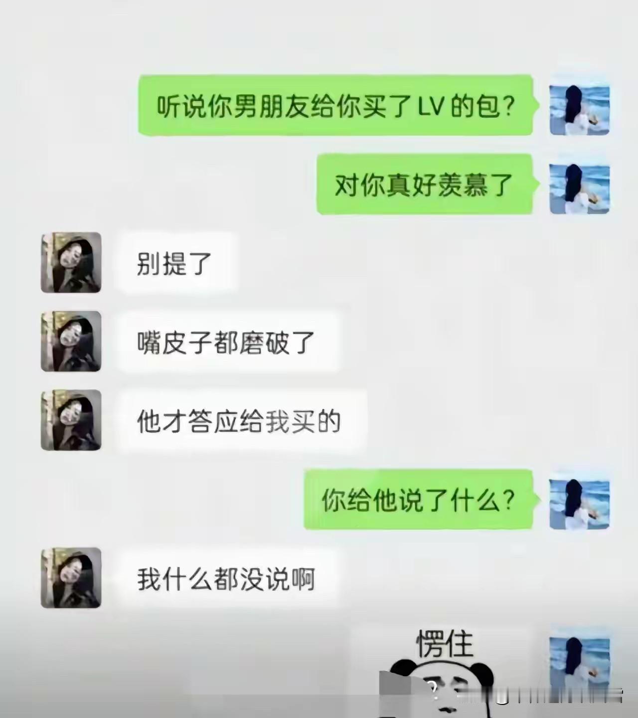 百思不得其解！
一边说“什么都没说”，一边又说“嘴皮子都磨破了”，才给买的LV包