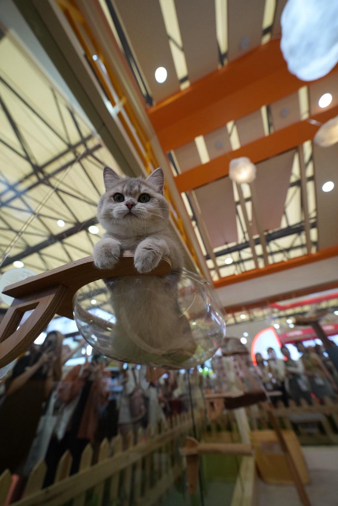 什么叫超绝松弛感，看到没有哈哈哈哈😎