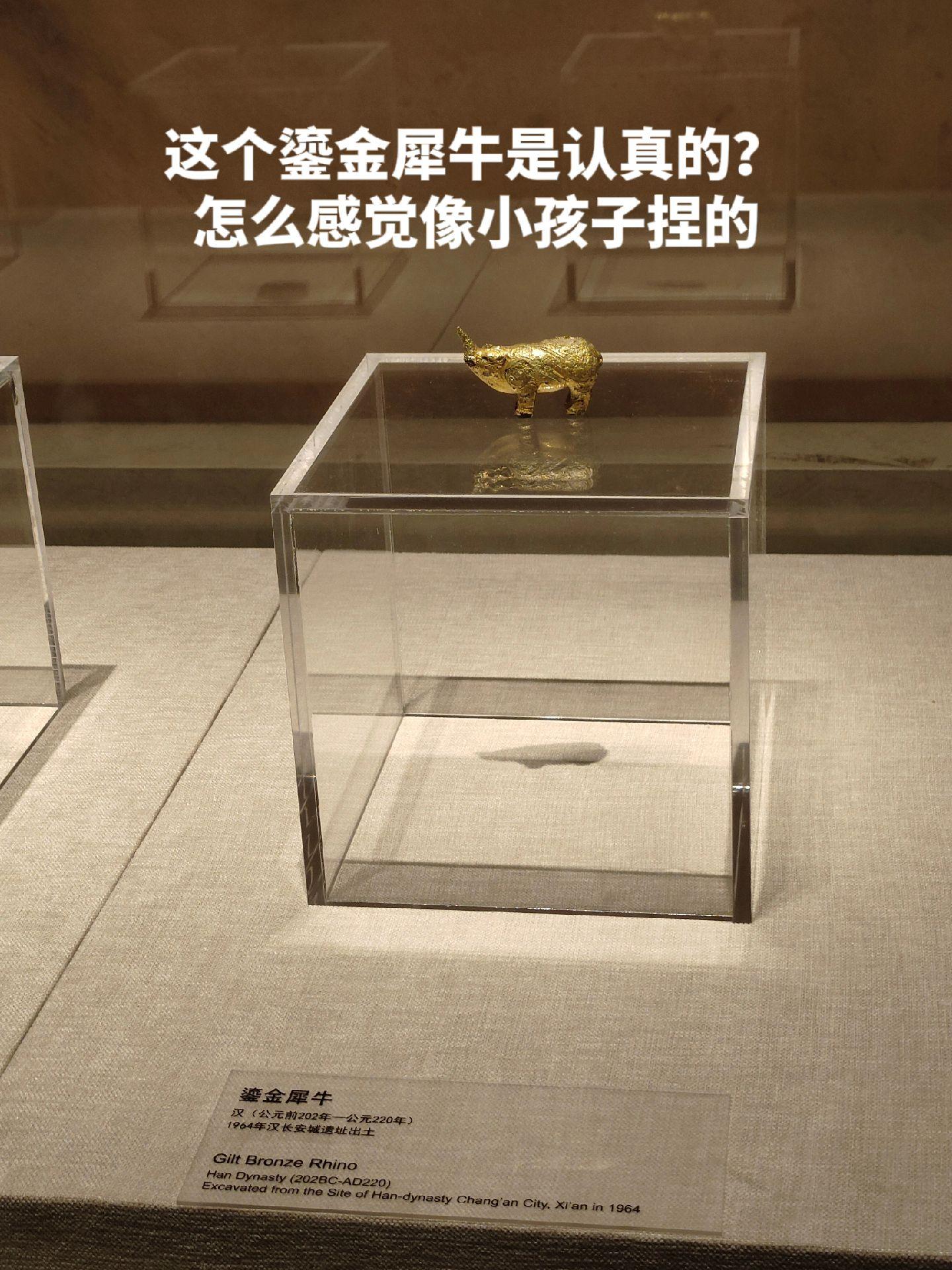 汉代的鎏金犀牛刷新了我的认知。往常一些文物都刻画的相当精细，头一次见到又精致又粗