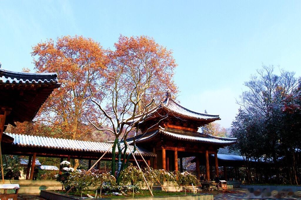 一年一 冬至 ，一岁一安康。随着 2024年最后一个节气 的来临，数九寒天也从这