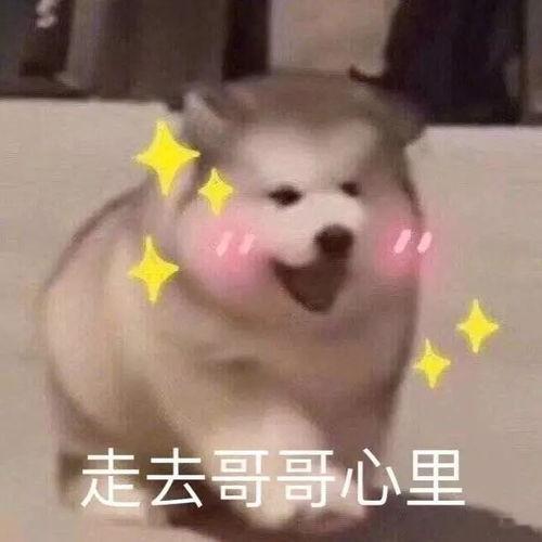 老板眼中的公司福利 大概是“楼下便利店员工价”“会议室24小时开放”“每周三下午