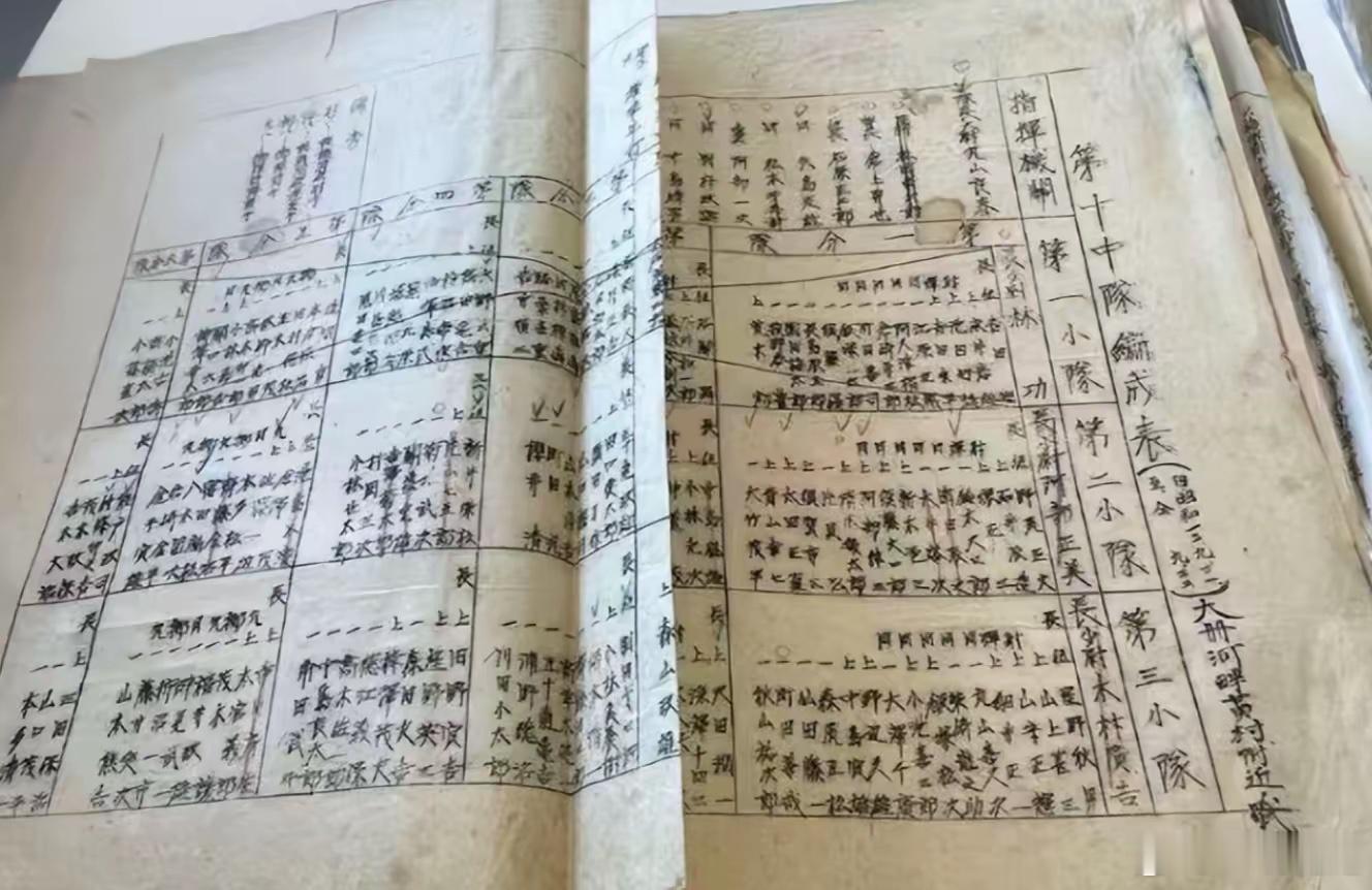 江苏14岁初中生，在发布侵华日军细菌战的机密档案后，居然受到了死亡威胁！更可气的