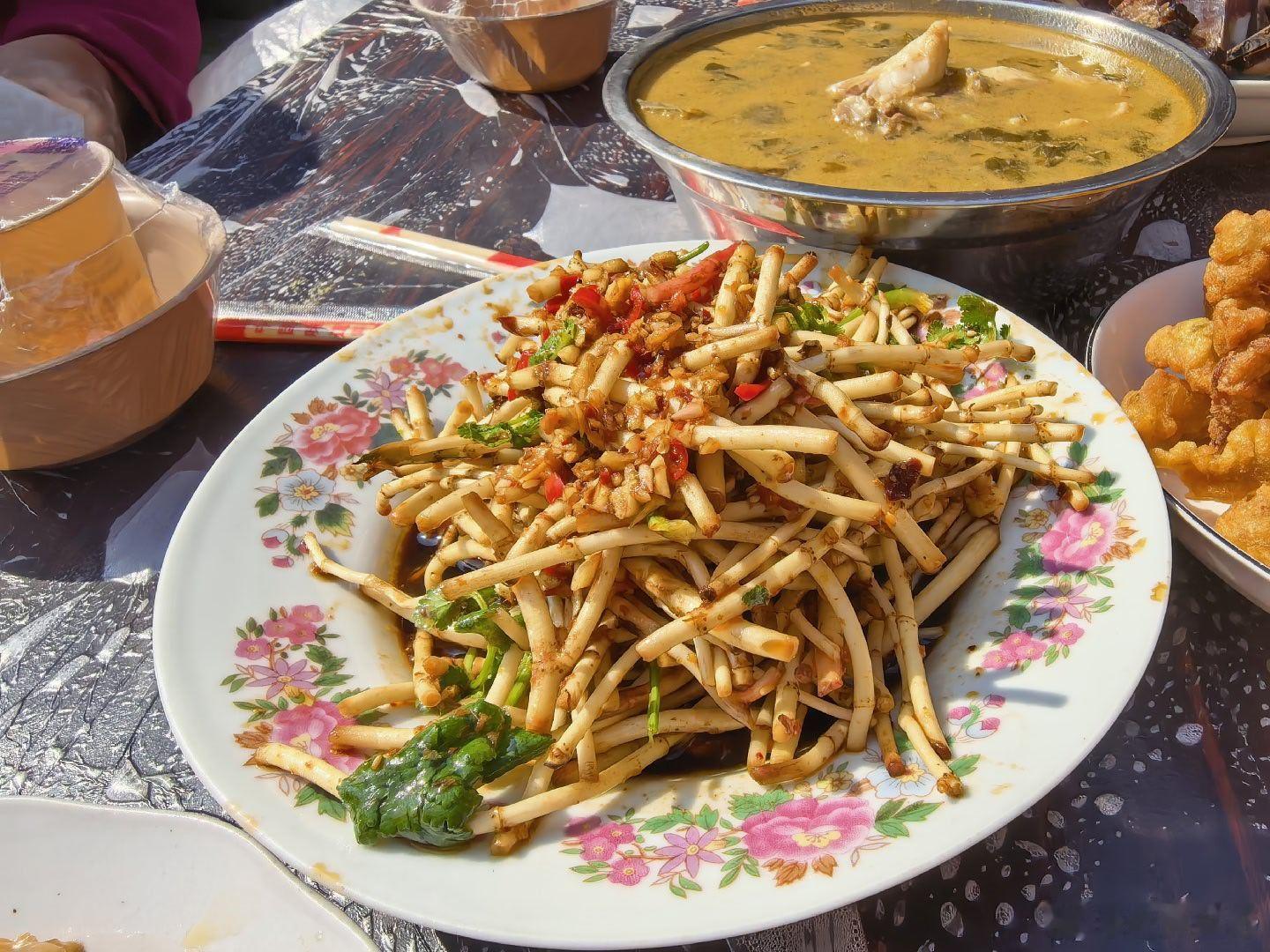 每年都是在河北过年，四川拜年，南北美食全安排上，每年春节涨几斤肉轻松！全程赶场模