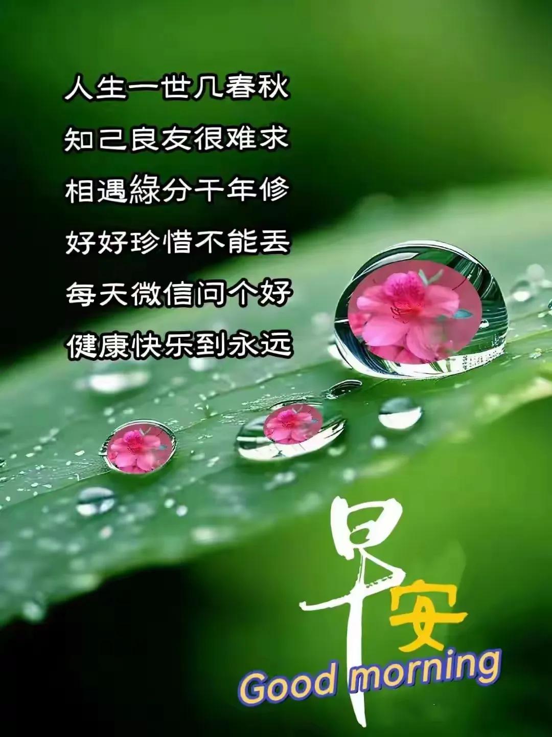 晨醒思清，也来对个诗联哈。。。。
#桃杏斗艳山水美，等你来接下句#

这次不废话