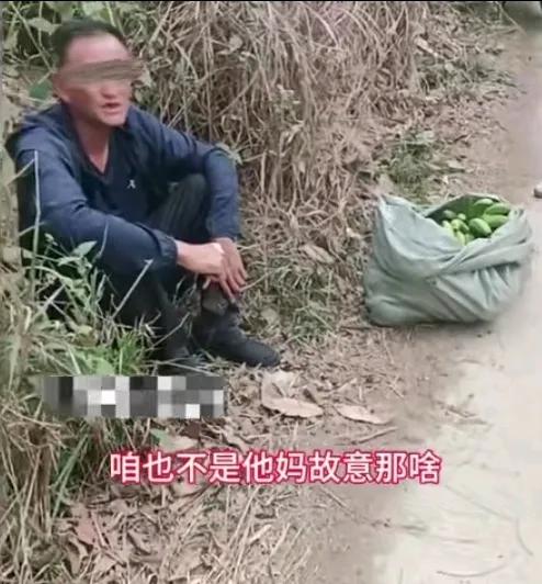 这俩人真能，又搞了不少野生香蕉，看样子至少20斤，过几天差不多时间熟，就天天吃香