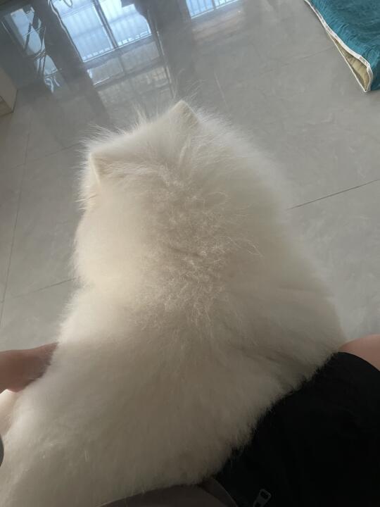 挺烈的