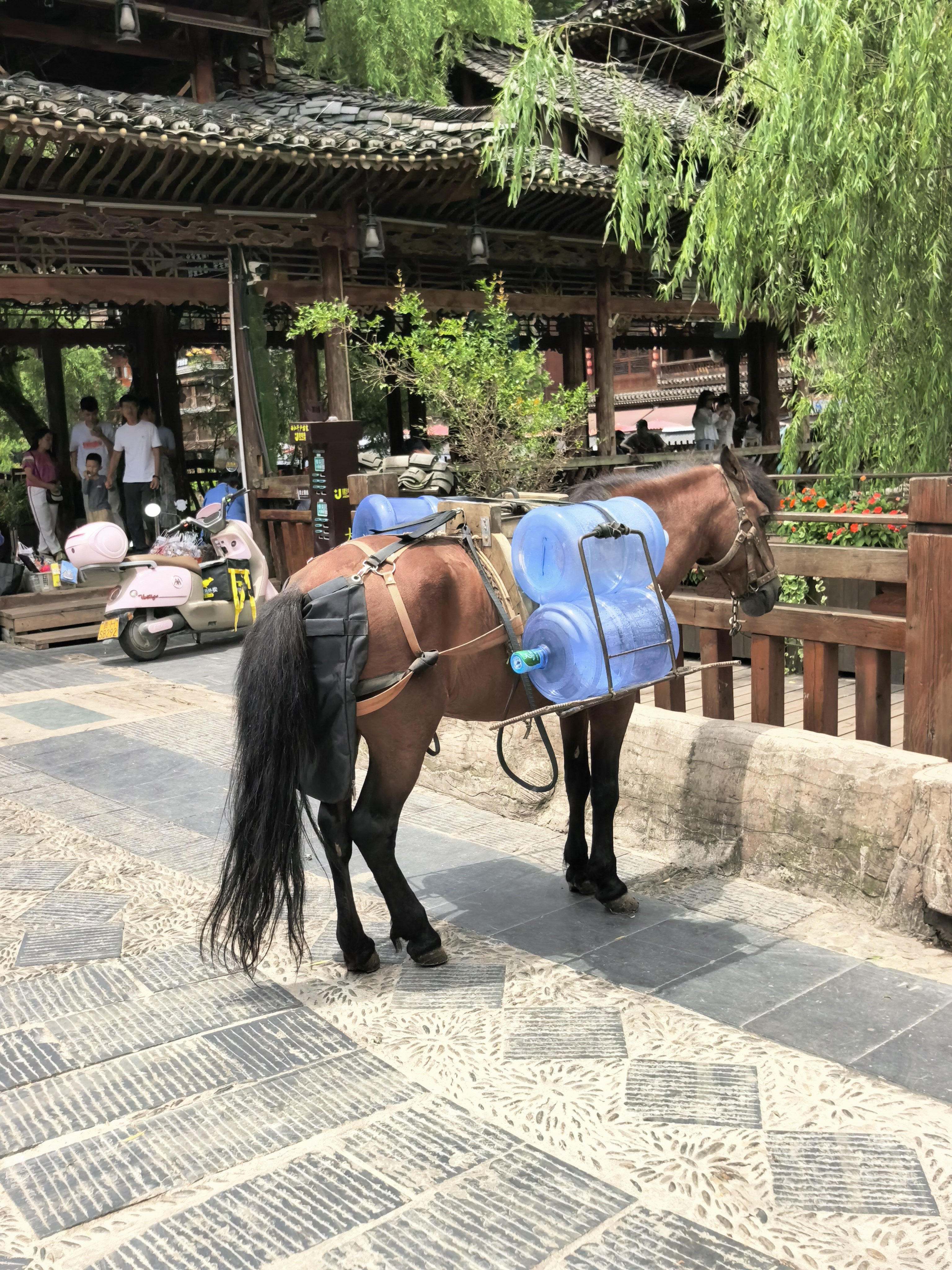 来不来都后悔 贵阳·西江千户苗寨