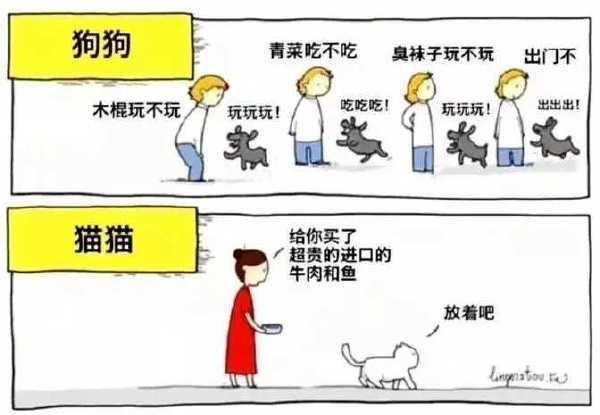 这种漫画一定都是狗画的。#猫狗#